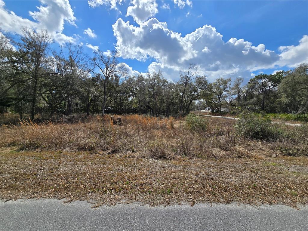 Property for sale at 6436 YAM STREET, WEBSTER, FL, 33597