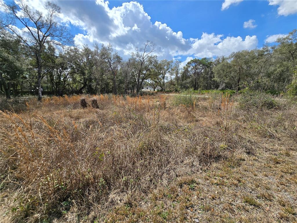 Property for sale at 6436 YAM STREET, WEBSTER, FL, 33597