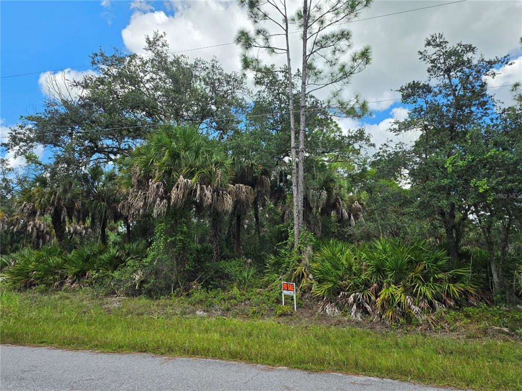 Property for sale at 14002 DUNLAP AVENUE, PORT CHARLOTTE, FL, 33953