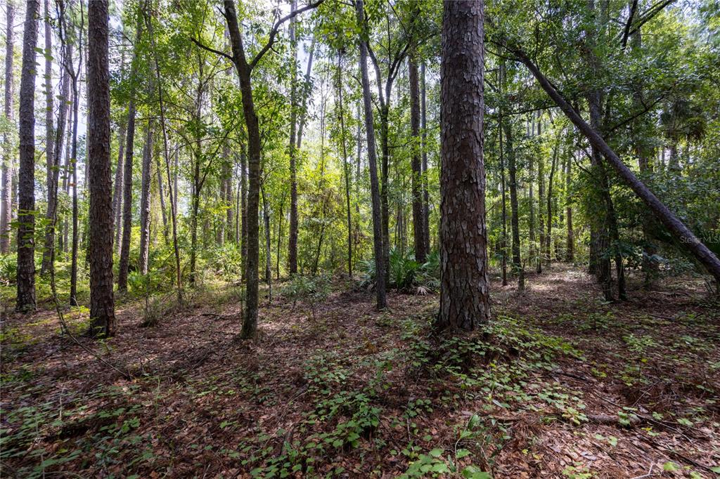 Property for sale at 0 SE HAWTHORNE ROAD, HAWTHORNE, FL, 32640