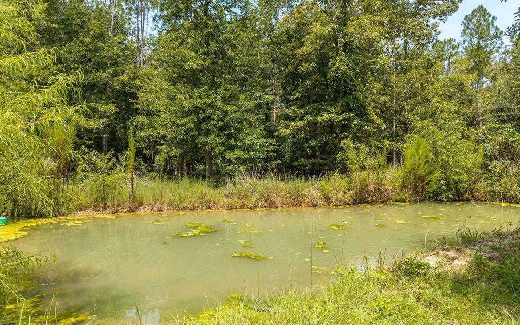 Property for sale at 12329 176TH STREET, MC ALPIN, FL, 32062
