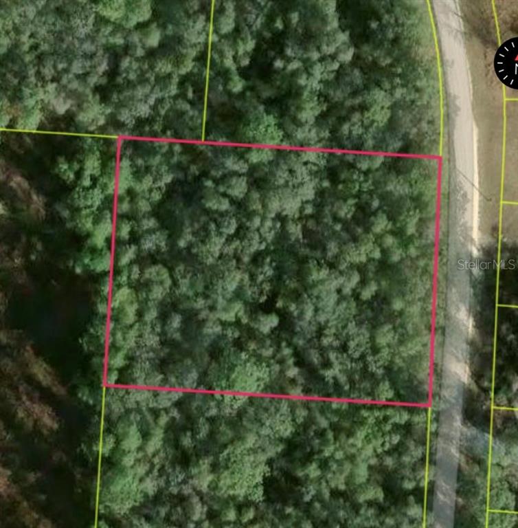 Property for sale at 34253 BERRYHILL DRIVE, WEBSTER, FL, 33597