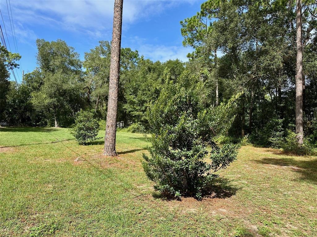 Property for sale at N THOMPSON ROAD, APOPKA, FL, 32712