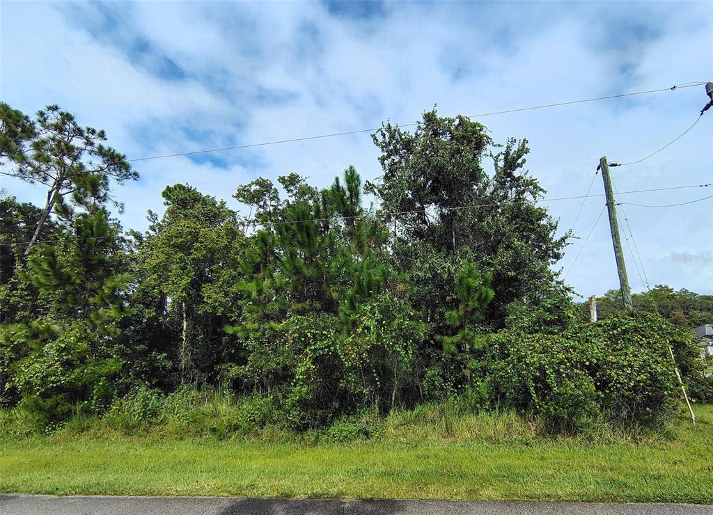 Property for sale at 1 KALMAR PLACE, PALM COAST, FL, 32164