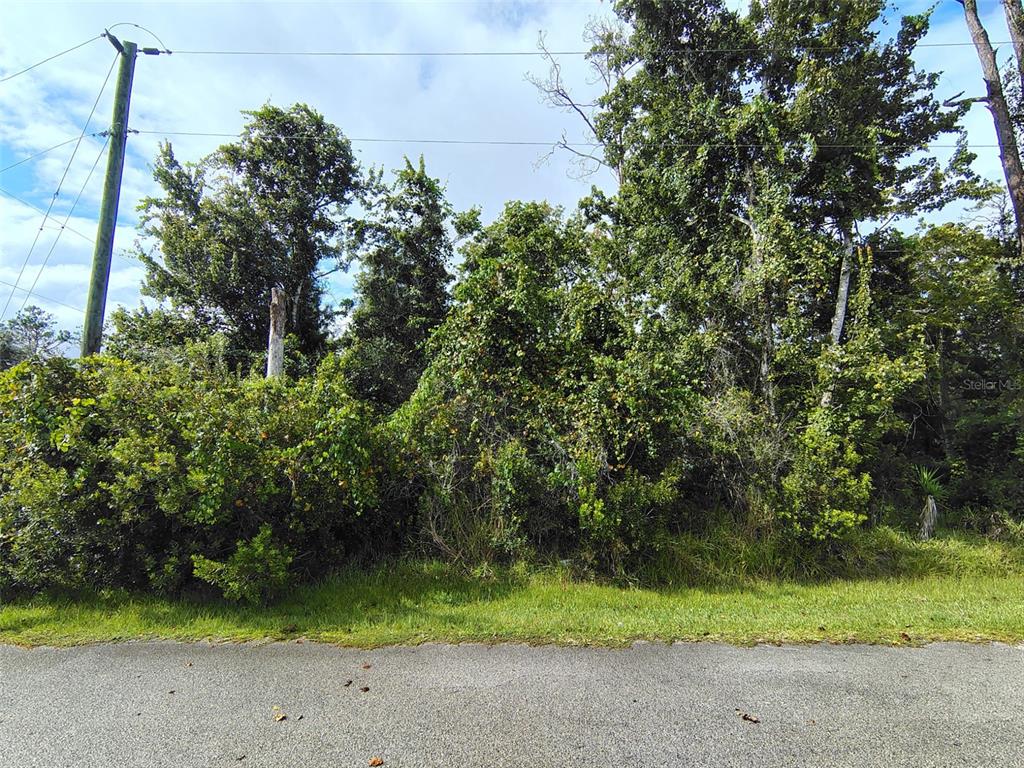 Property for sale at 1 KALMAR PLACE, PALM COAST, FL, 32164