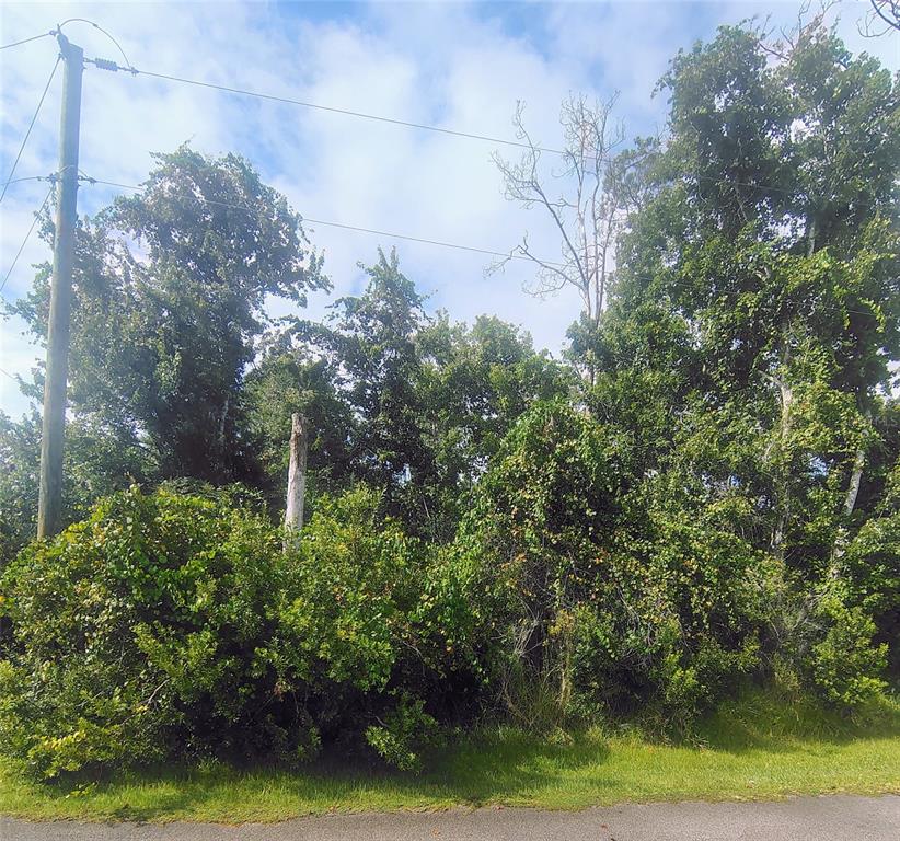 Property for sale at 1 KALMAR PLACE, PALM COAST, FL, 32164