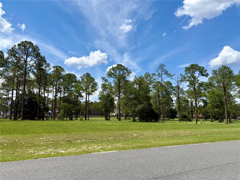 Property for sale at 35135 PINEGATE TRAIL, EUSTIS, FL, 32736