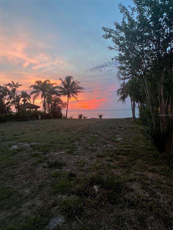 Property for sale at 1013 SYMPHONY ISLES BOULEVARD, APOLLO BEACH, FL, 33572