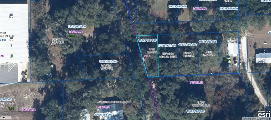 Property for sale at 302 SE 65TH AVENUE, HAWTHORNE, FL, 32640
