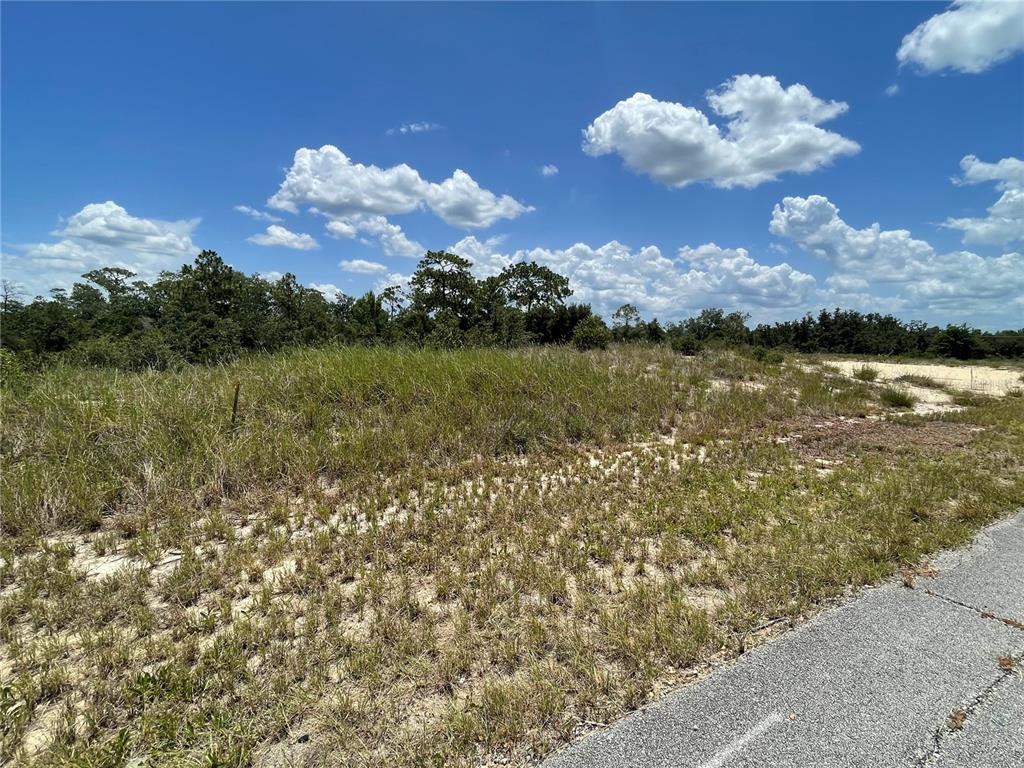 Property for sale at 1342 HOMOSASSA COURT, POINCIANA, FL, 34759