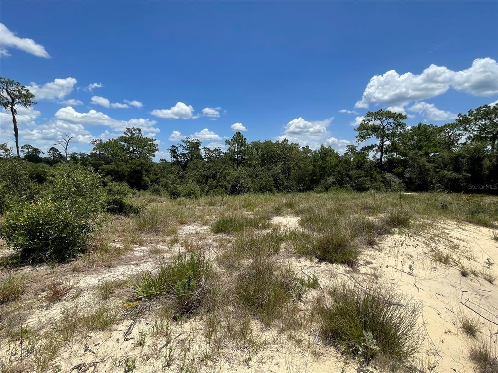 Property for sale at 1342 HOMOSASSA COURT, POINCIANA, FL, 34759