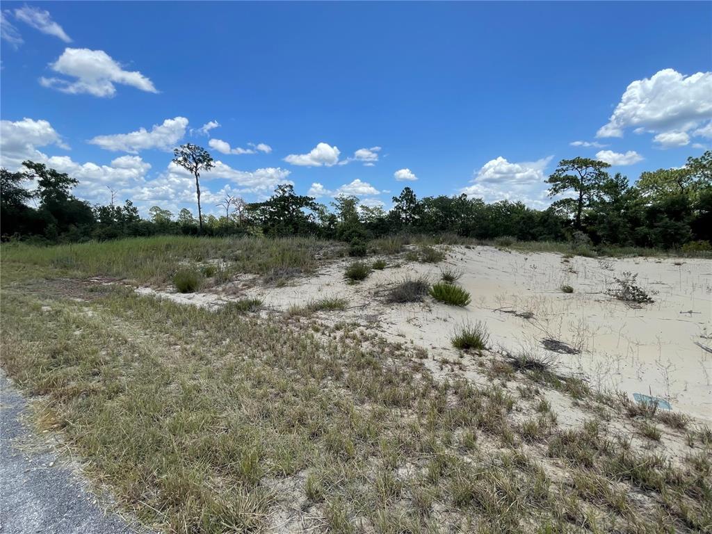 Property for sale at 1342 HOMOSASSA COURT, POINCIANA, FL, 34759