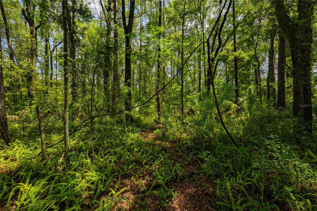 Property for sale at 0000 NW 34TH STREET, GAINESVILLE, FL, 32605