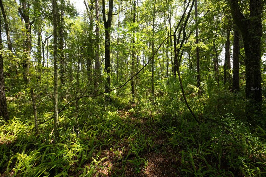 Property for sale at 0000 NW 34TH STREET, GAINESVILLE, FL, 32605