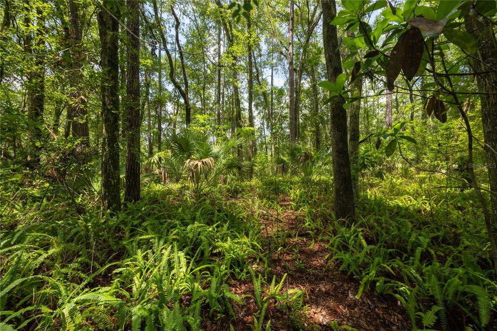 Property for sale at 0000 NW 34TH STREET, GAINESVILLE, FL, 32605