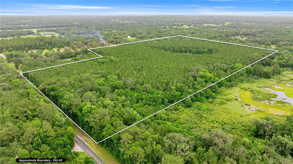 Property for sale at TBD NW 160TH ST, REDDICK, FL, 32686
