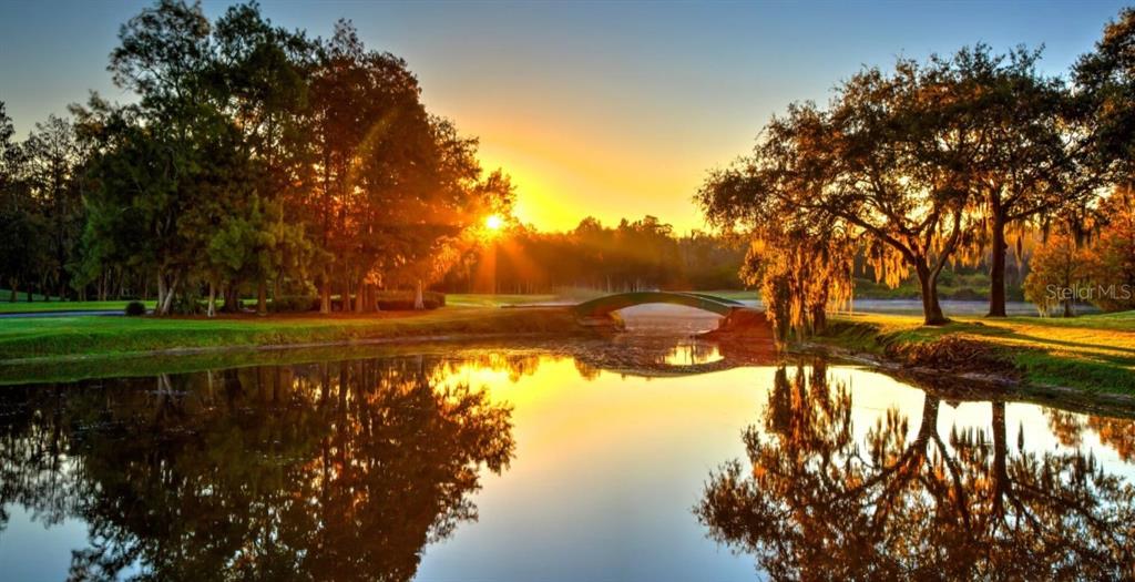 Property for sale at 1577 SANDHILL COURT, PALM HARBOR, FL, 34683
