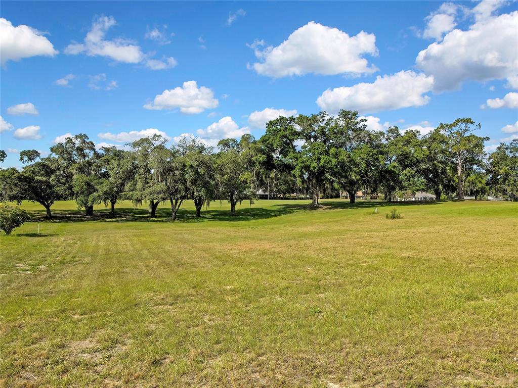 Property for sale at 368 E FALCONRY COURT, HERNANDO, FL, 34442