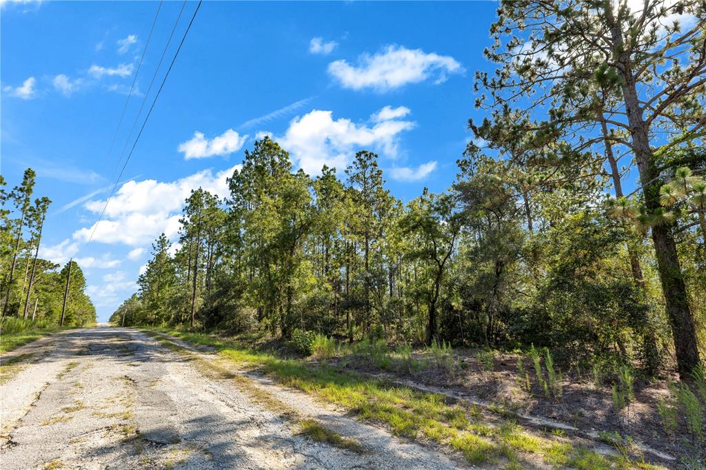 Property for sale at LOTS 16 AND 17 SE 130TH CT, DUNNELLON, FL, 34431