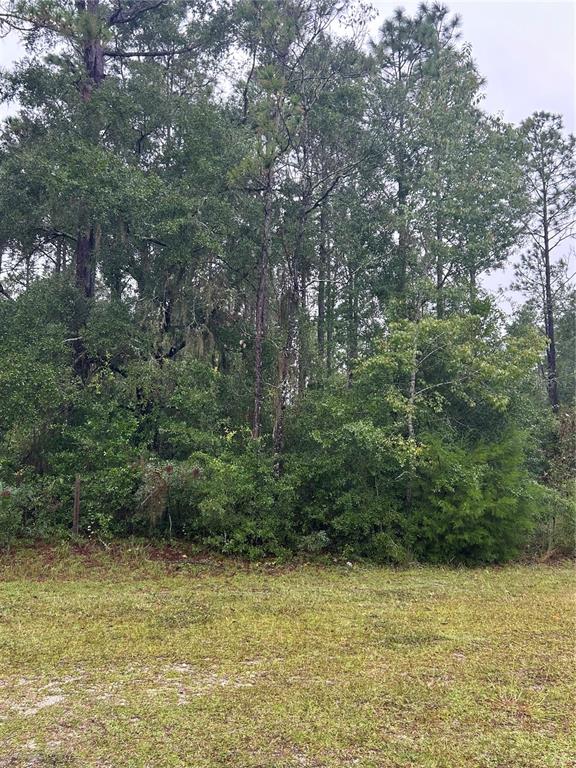 Property for sale at TBD NE 77TH COURT, BRONSON, FL, 32621