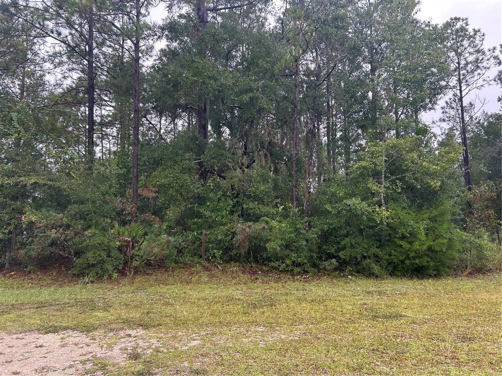 Property for sale at TBD NE 77TH COURT, BRONSON, FL, 32621