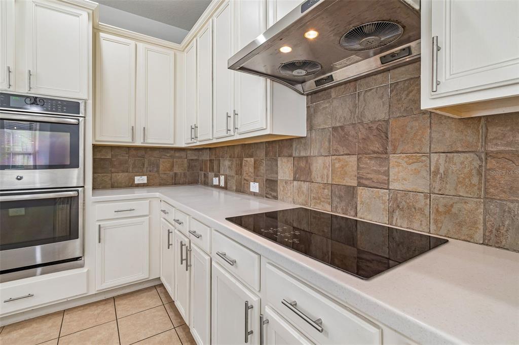 Property for sale at 8523 NORTHTON GROVES BOULEVARD, ODESSA, FL, 33556