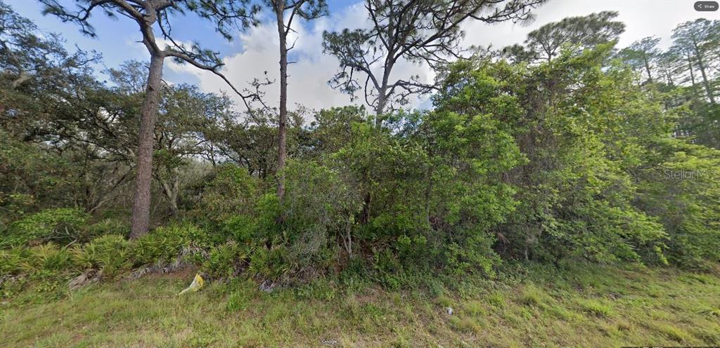 Property for sale at DEEN STILL ROAD, POLK CITY, FL, 33868