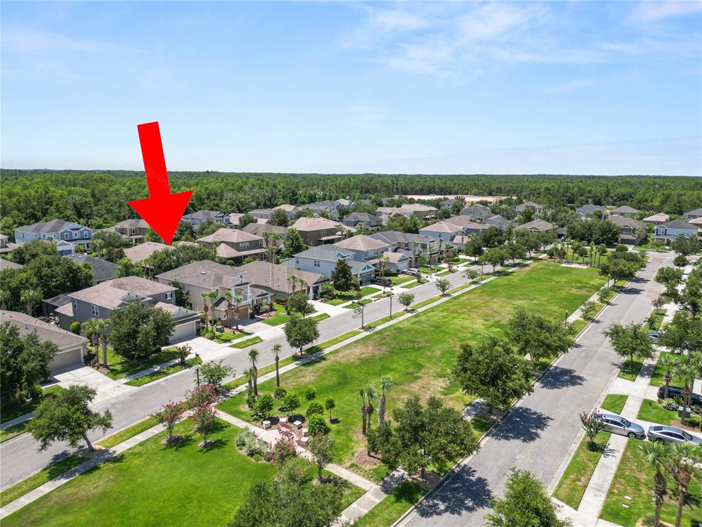 Property for sale at 8775 SENTIERO DRIVE, LAND O LAKES, FL, 34637