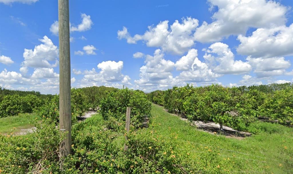 Property for sale at HOLOPAW GROVES ROAD, ST CLOUD, FL, 34773