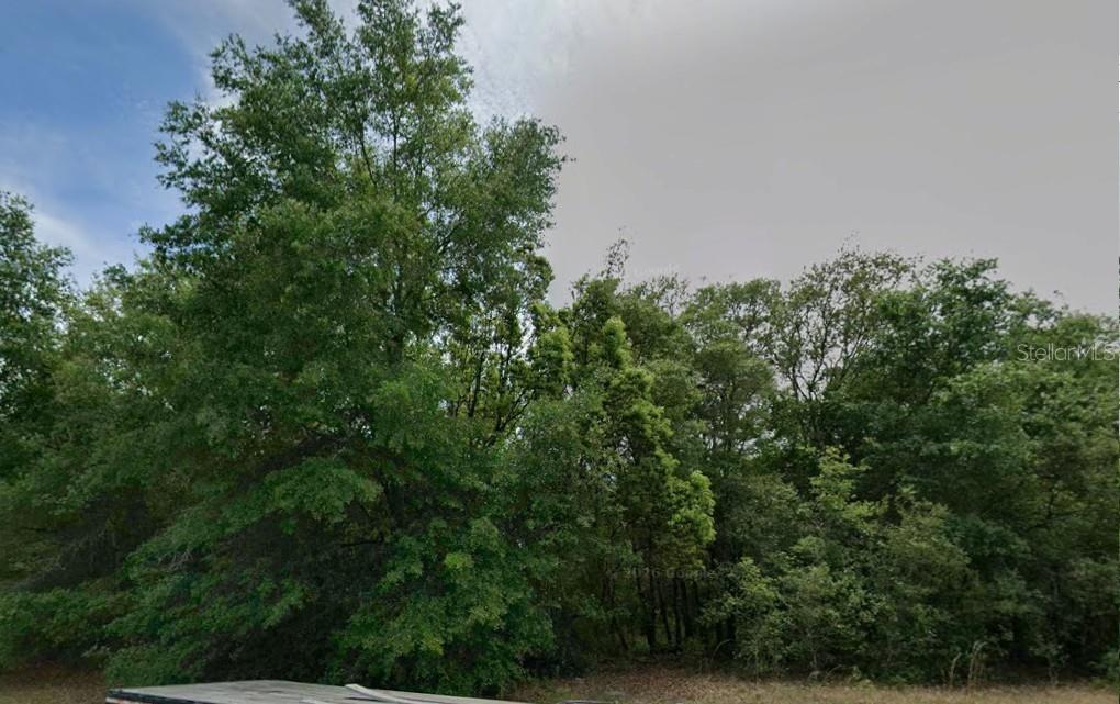 Property for sale at 602 W ANDERSON LANE, CITRUS SPRINGS, FL, 34434