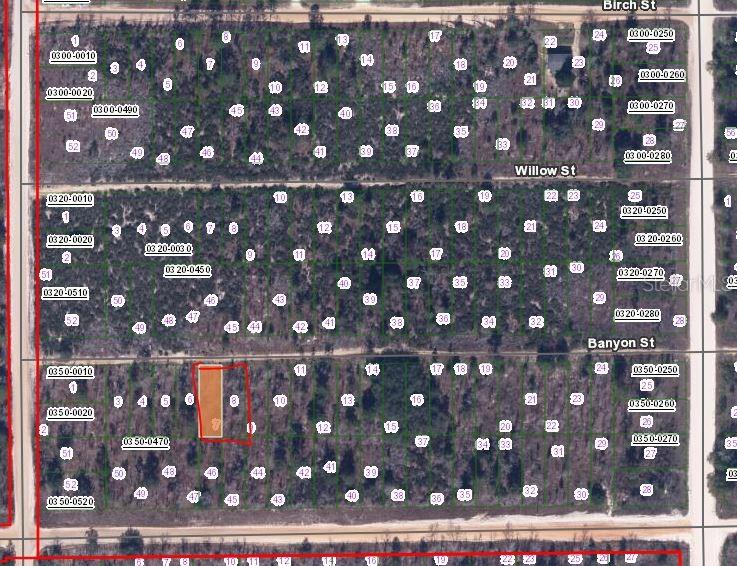Property for sale at 00 BANVON STREET, INTERLACHEN, FL, 32148