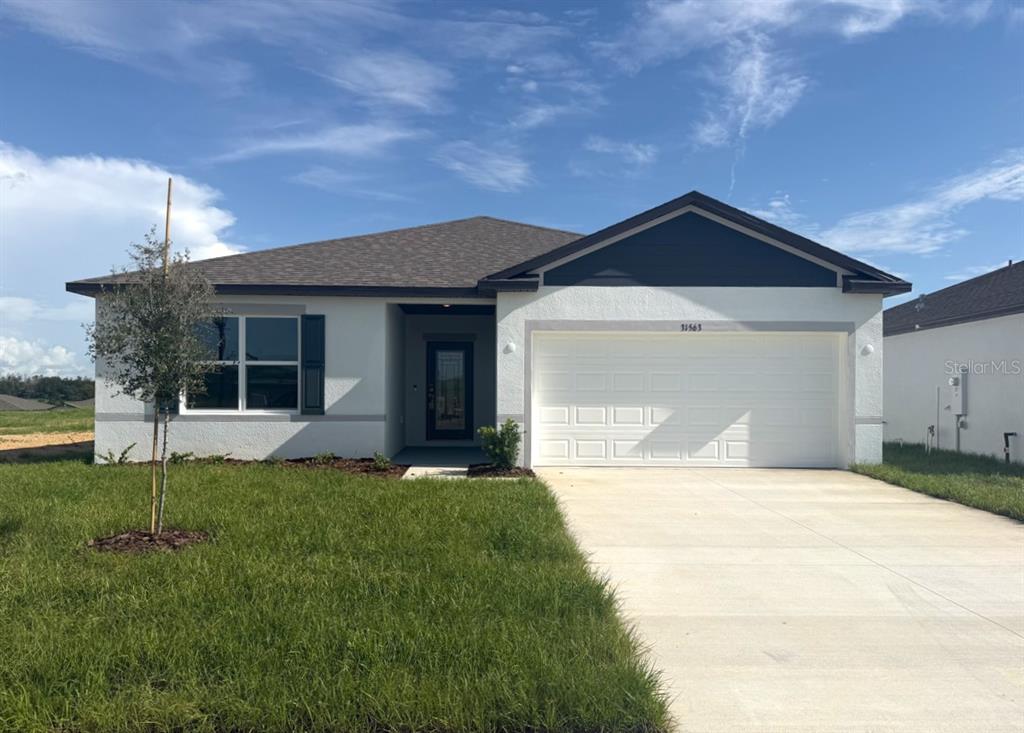Welcome to 31563 Wild Grape Lane!