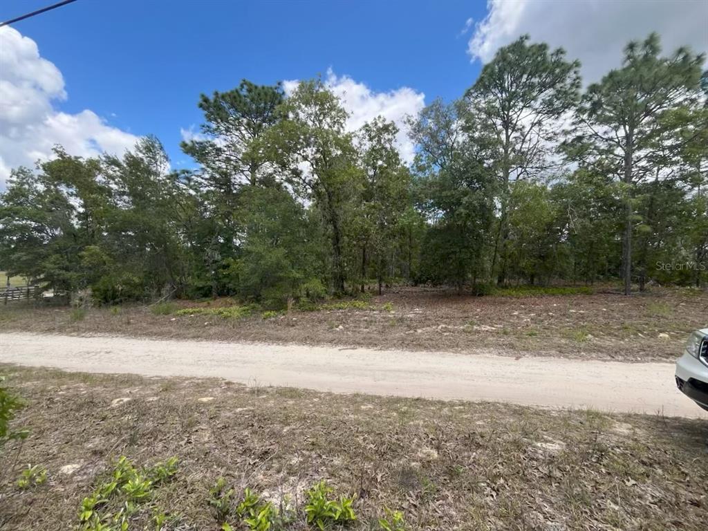 Property for sale at 3726 W SPOON WOOD COURT, DUNNELLON, FL, 34433