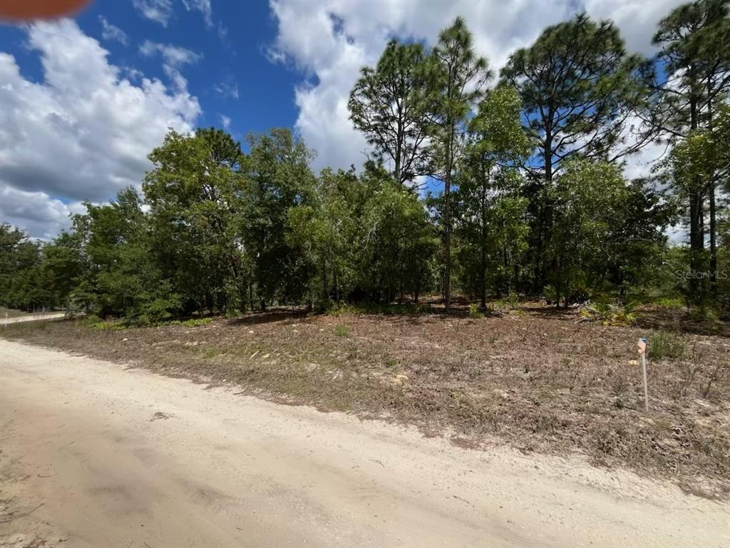 Property for sale at 3726 W SPOON WOOD COURT, DUNNELLON, FL, 34433