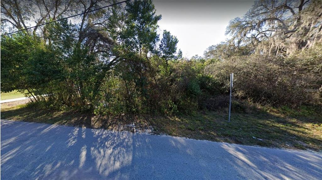 Property for sale at RIDGE MANOR BOULEVARD, DADE CITY, FL, 33523