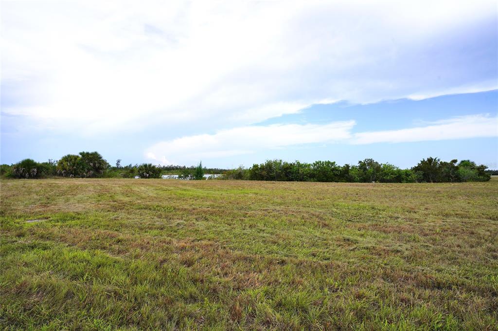 Property for sale at 25 THRUSH DRIVE, PLACIDA, FL, 33946