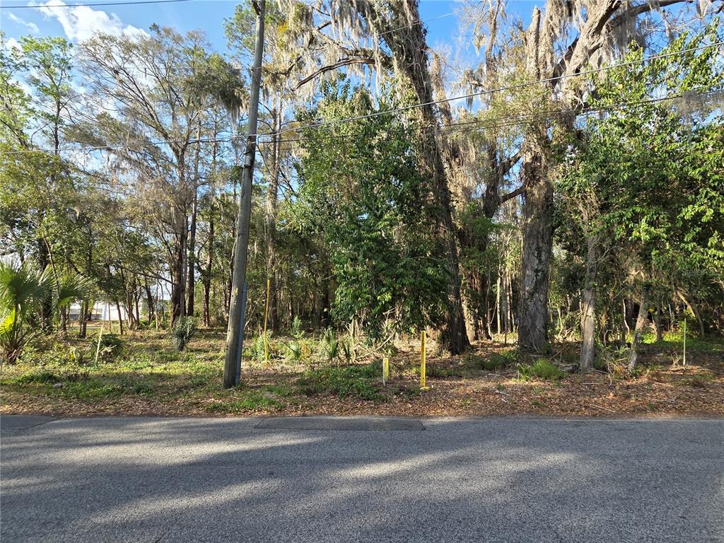 Parcel 2, facing north