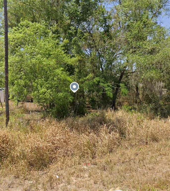 Property for sale at 232 LOCUST PASS LANE, OCALA, FL, 34472