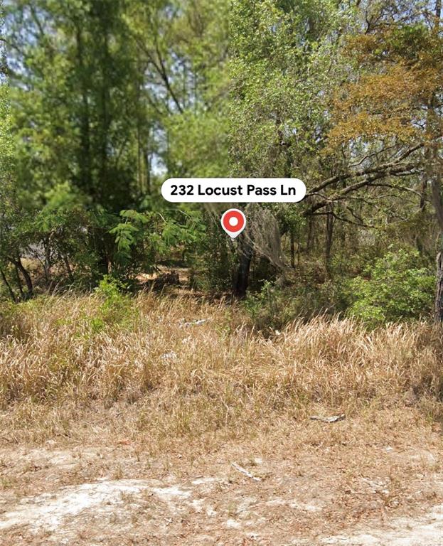 Property for sale at 232 LOCUST PASS LANE, OCALA, FL, 34472
