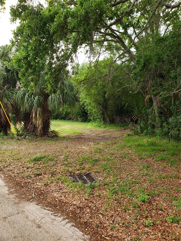 Property for sale at GROSSE AVENUE, TARPON SPRINGS, FL, 34689