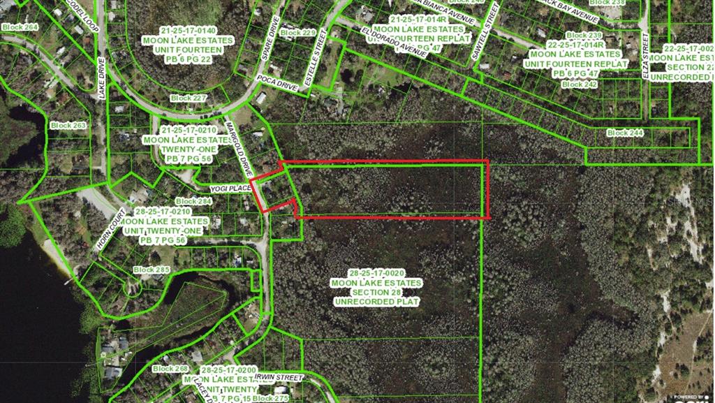 Property for sale at 8944 MARIGOLD DRIVE, NEW PORT RICHEY, FL, 34654