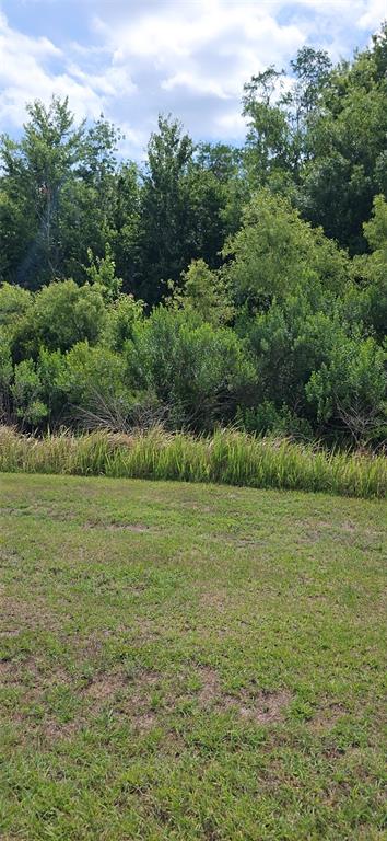 Property for sale at 32926 KALOKO ROAD, WESLEY CHAPEL, FL, 33543