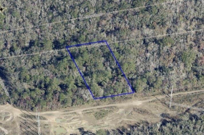 Property for sale at MARTY STREET, HASTINGS, FL, 32145