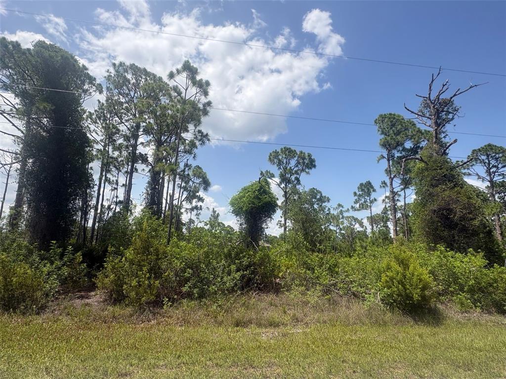 Property for sale at 14200 NAYLOR AVENUE, PORT CHARLOTTE, FL, 33981