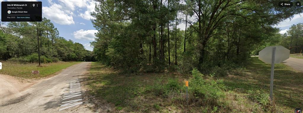Property for sale at 346 W WHITMARSH COURT, CITRUS SPRINGS, FL, 34434