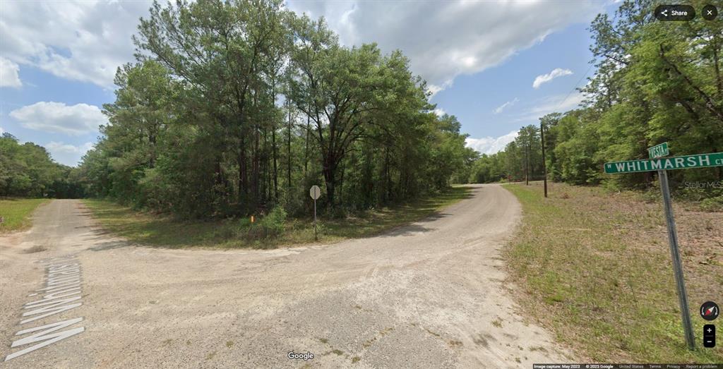 Property for sale at 346 W WHITMARSH COURT, CITRUS SPRINGS, FL, 34434