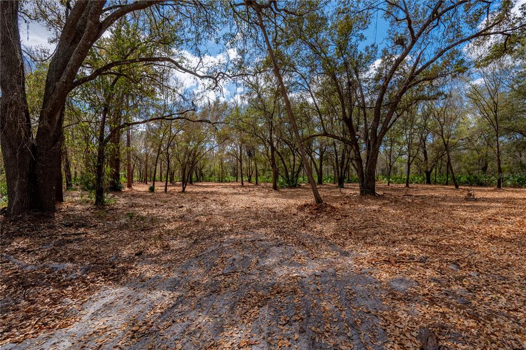 Property for sale at SE HWY 31 UNIT 30, ARCADIA, FL, 34266