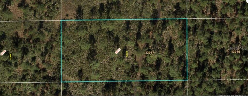 Property for sale at DILL ROAD, ORLANDO, FL, 32820