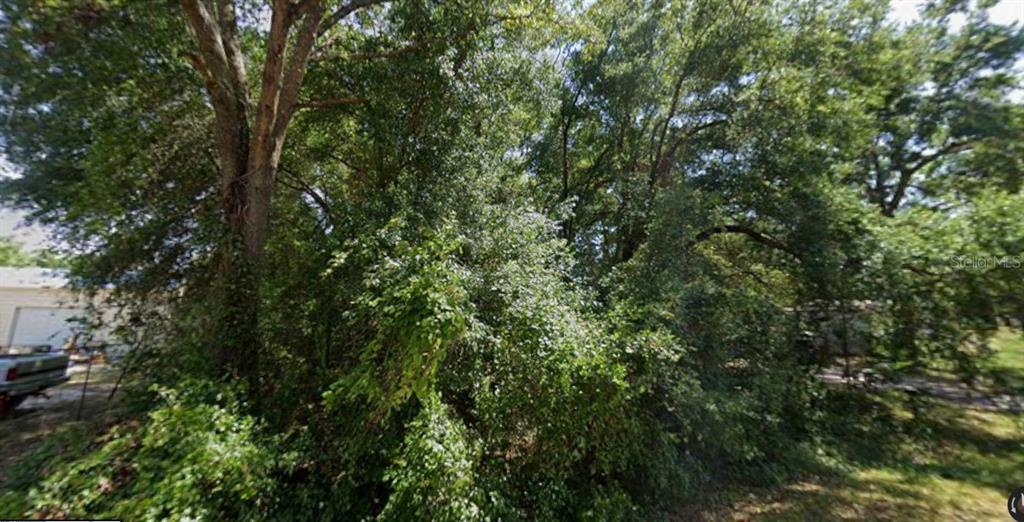 Property for sale at 0 SE 143RD PL, SUMMERFIELD, FL, 34491