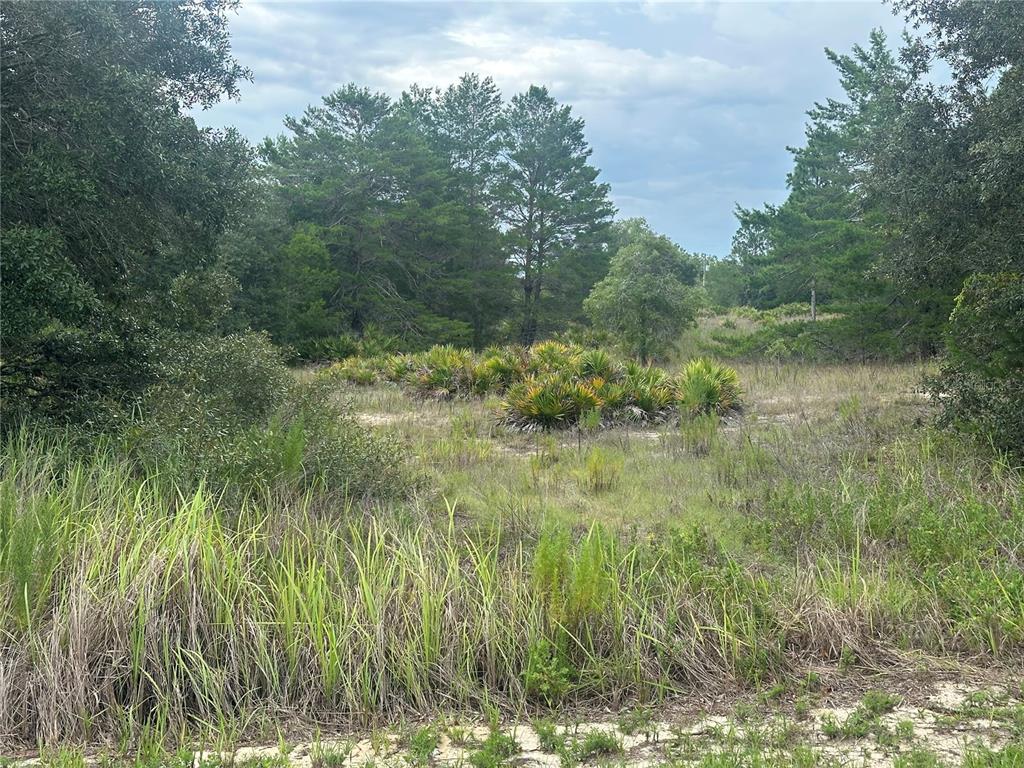 Property for sale at 6977 S RAINBOW POINT, HOMOSASSA, FL, 34446